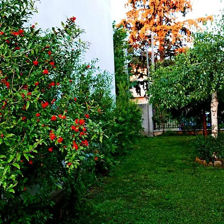 Cactus Oasis Apartment Alexandroupoli Exterior photo