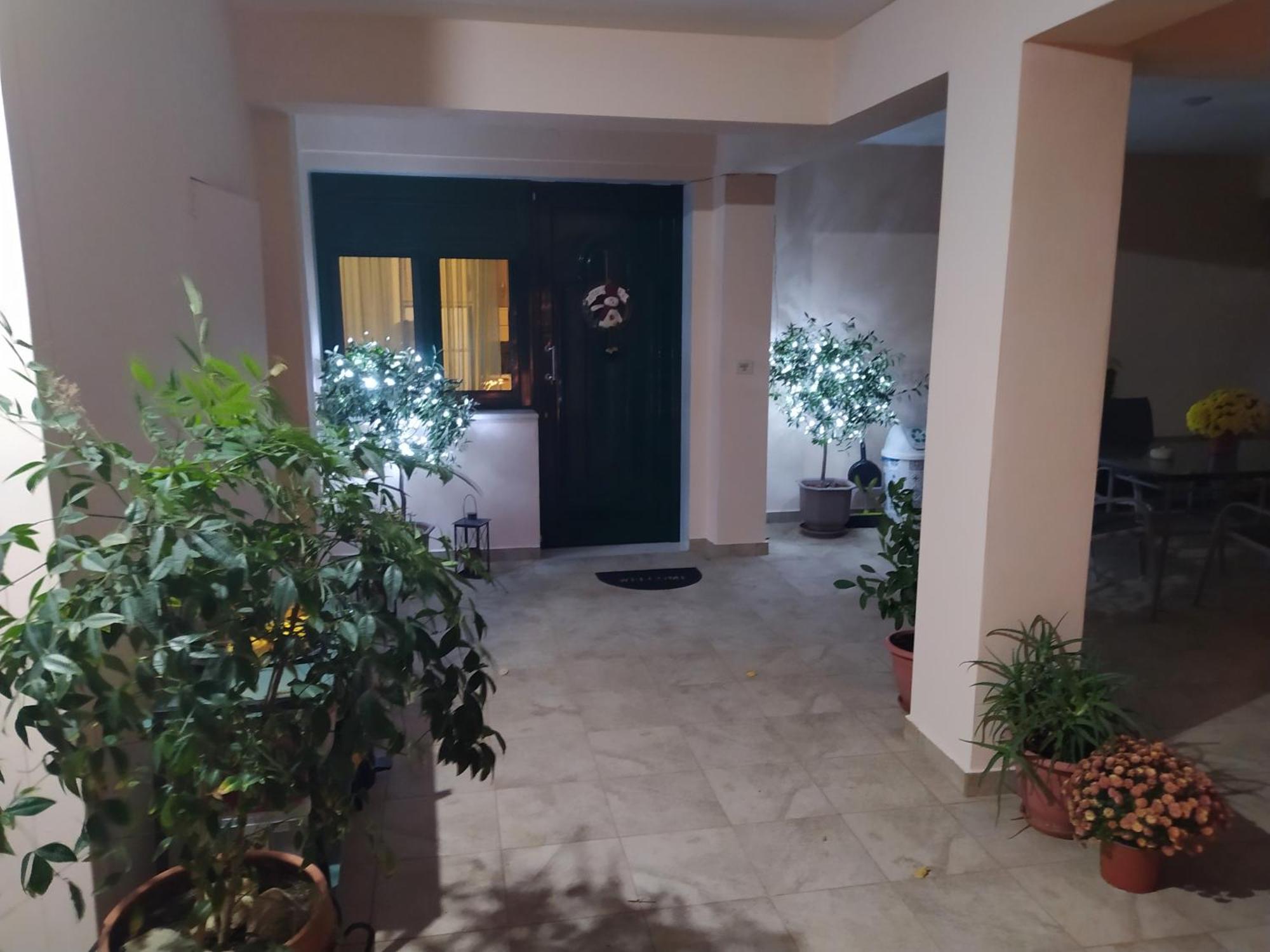 Cactus Oasis אלכסנדרופולי
