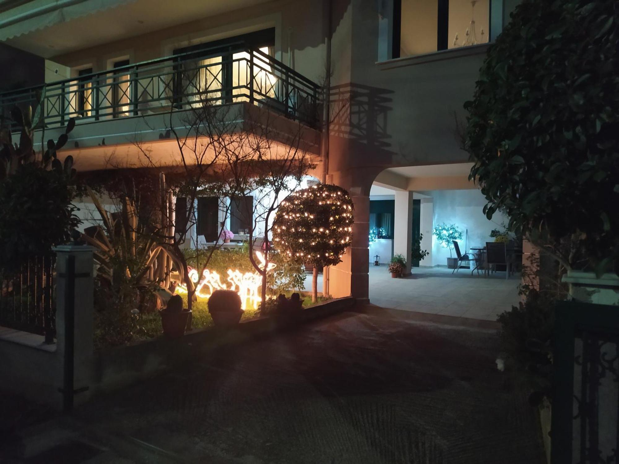 Cactus Oasis אלכסנדרופולי