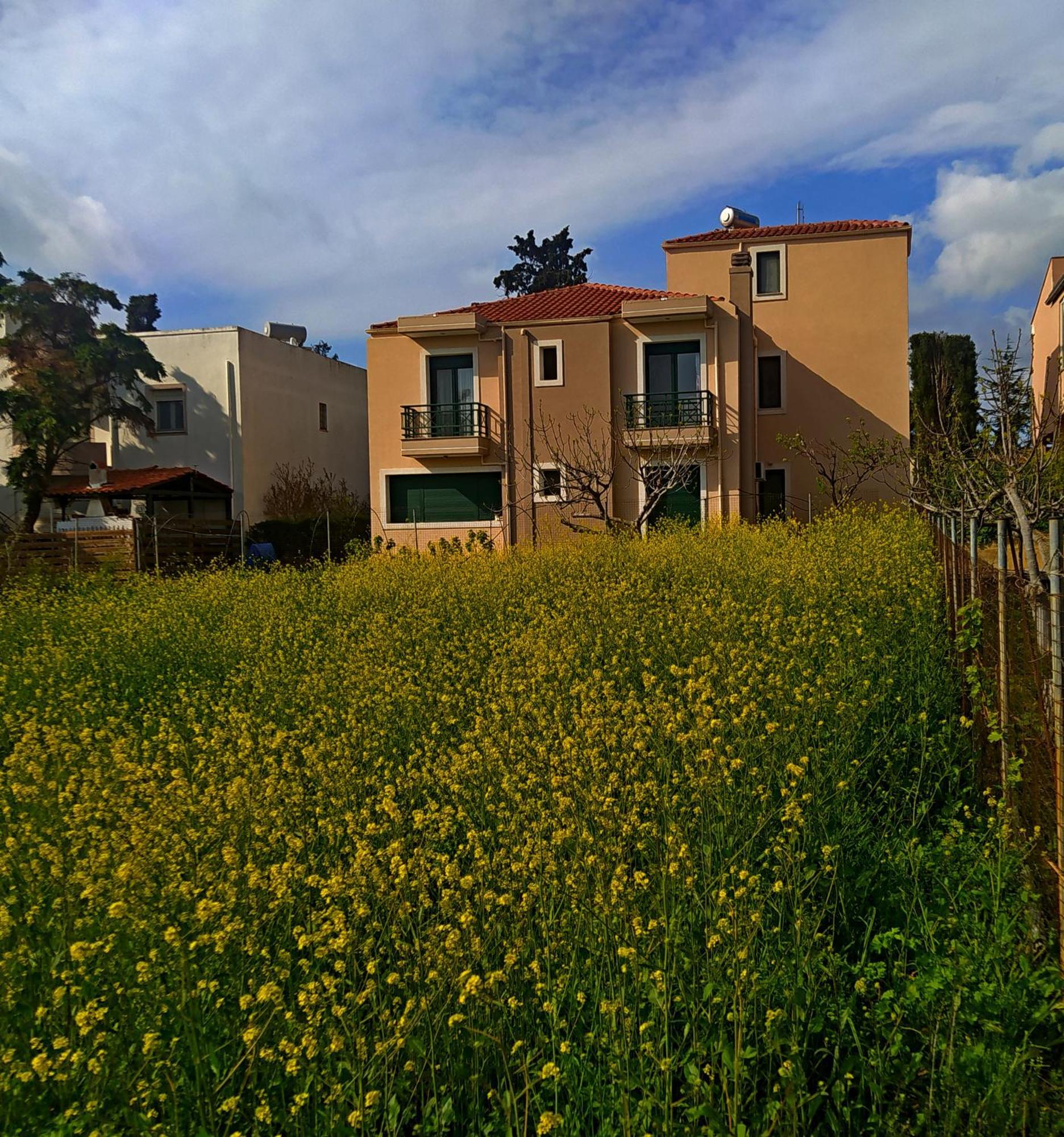 Cactus Oasis דירה אלכסנדרופולי
