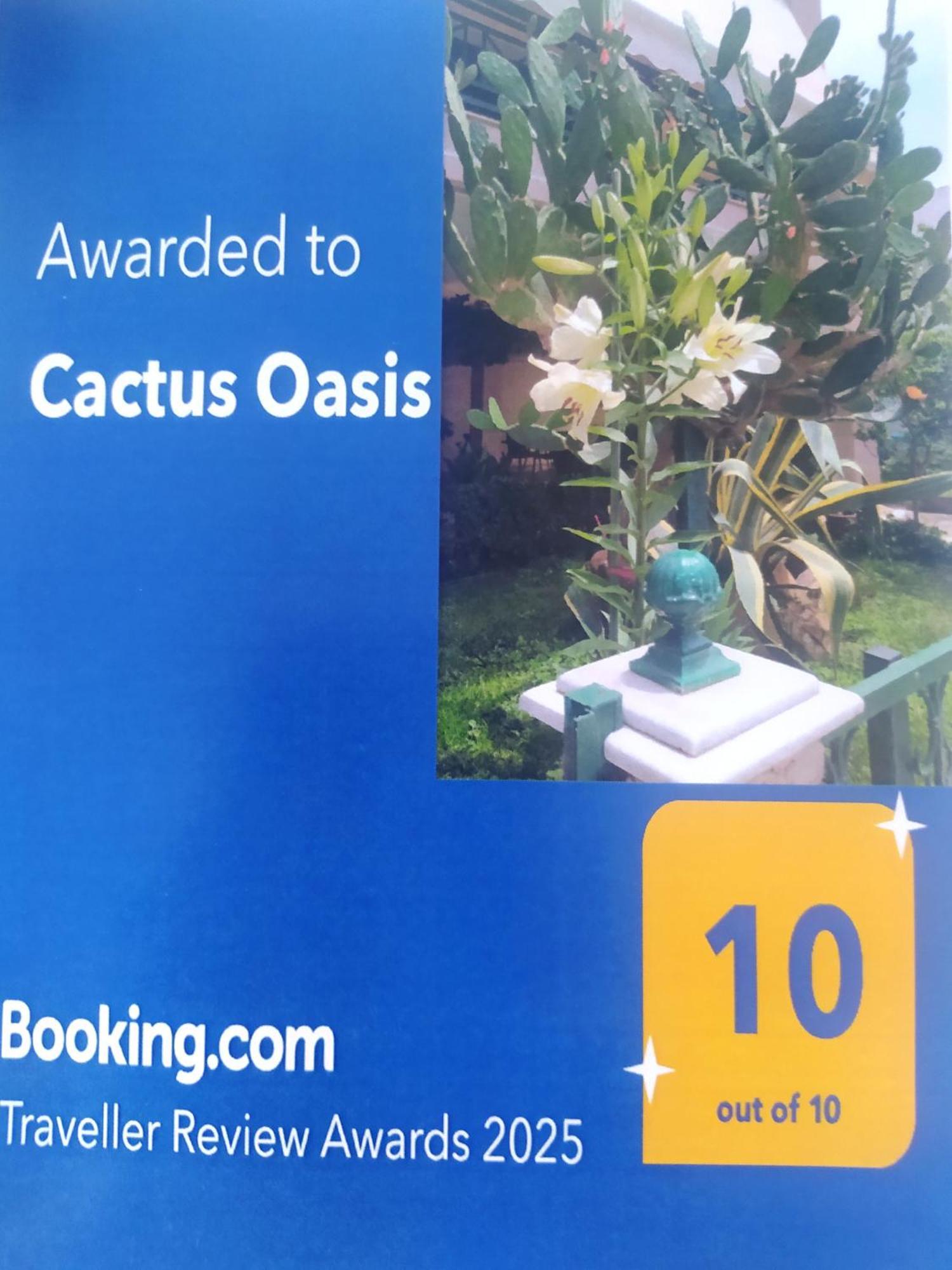 Cactus Oasis דירה *